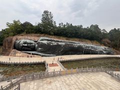 -三水森林公园