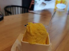 芒果-野人先生现做冰淇淋(北京环宇荟店)