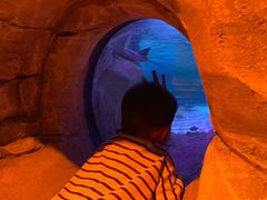 -沈阳海洋探索中心