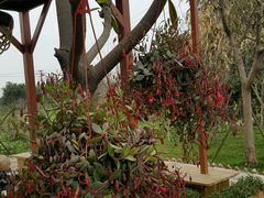 -森居forest休闲咖啡聚集地