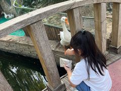 -世界地热博览园