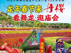 -丹樱生态园