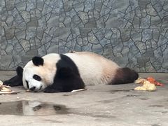 -西安秦岭野生动物园