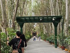 -艾提尕尔清真寺