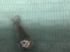 -淄博花灯齐彩城