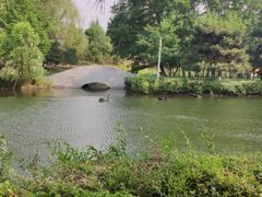 -长白岛森林公园