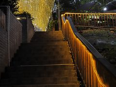 -张鸟园农家乐(张鸟园店)