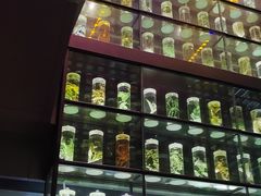 -广东中医药博物馆