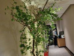 -绿杨春·淮扬宴(庐山路店)