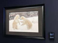 -罗红摄影艺术馆