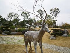 -两河城市森林公园