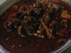 -蜀江水川菜馆(金川家园店)