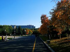 -长春世界雕塑园冰雪艺术天地