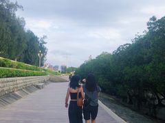 -宝安西湾红树林湿地公园