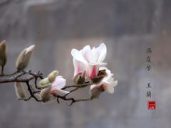 -东华门大街小区