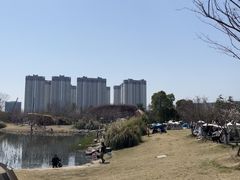 -澹台湖公园