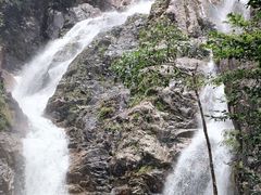 -海南霸王岭国家森林公园