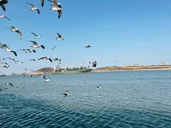 -海驴岛(荣成市)