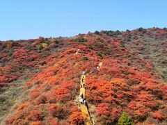 -水峪民俗村