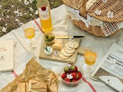 -合肥滨湖国家森林公园