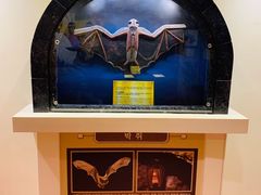 -信不信由你博物馆