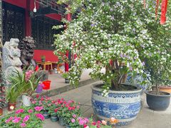 -南岳明心寺