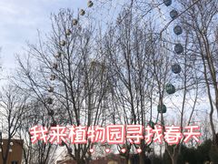 -石家庄市植物园