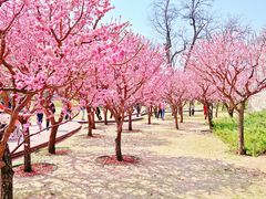 -北京明城墙遗址公园