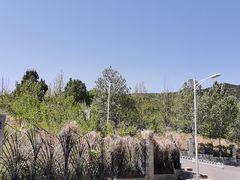 -北京西山国家森林公园