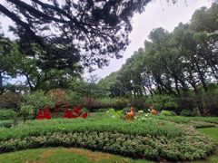 -上海醉白池公园