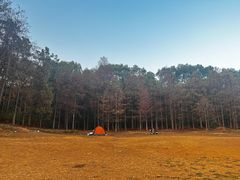 -青龙山国家森林公园