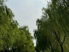 -杭州黄龙洞