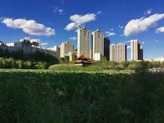 -青城公园