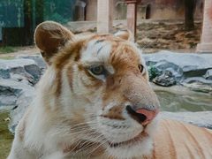 -杭州野生动物世界