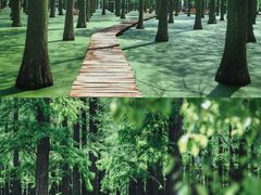 -渌洋湖湿地公园