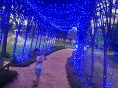 -武汉紫薇都市田园