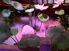 -韵秋荷(宝山龙湖天街店)