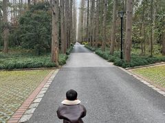 -上海怡沁园度假酒店