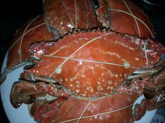 android_upload_pic-新旺美食林农家菜(岭南路店)