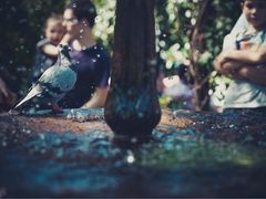 -The Grounds of Alexandria