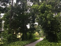 -厦门悦华酒店