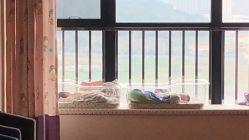 点击看大图 -仕馨·优若家月子会所(萝岗店)
