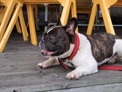 -丰收渔港饭店(嵊泗店)