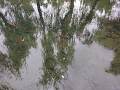 -水磨沟公园