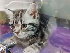 -乐宠宠物店(世纪金源店)