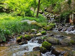 -秦岭终南山世界地质公园翠华山景区