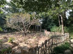 -宁波儿童公园(鄞州区)