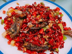 -力力豆花庄(广渠门店)