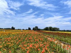 -汉长安城未央宫国家考古遗址公园