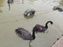 -无锡动物园·太湖欢乐园